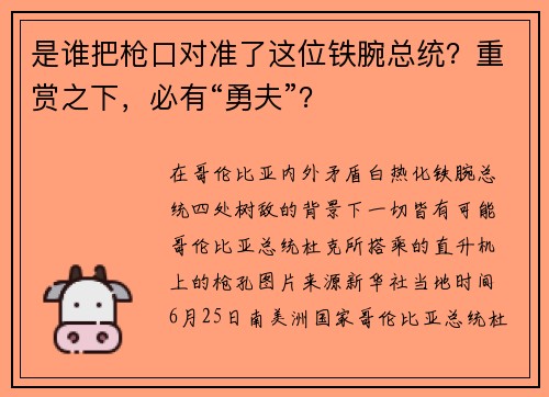 是谁把枪口对准了这位铁腕总统？重赏之下，必有“勇夫”？
