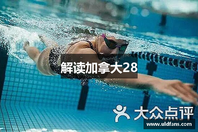 解读加拿大28